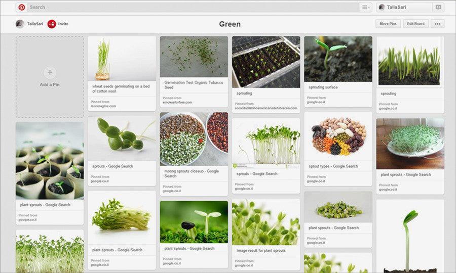 Sprouts & Green Inspiration