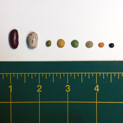 Sprouts Are Precious…