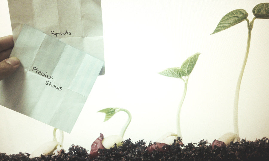 Capsule Two / Sprouts and Precious Stones