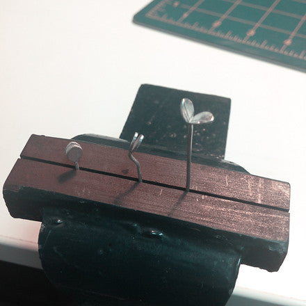 Sprouting Silver